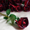 24 Long Stem Roses - Red/Black