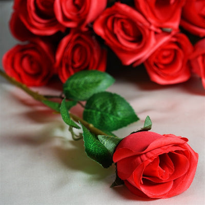 24 Long Stem Roses - Red