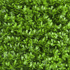 11 Sq ft. | 4 Panels Artificial Lime Green Boxwood Hedge Genlisea Faux Foliage Green Garden Wall Mat#whtbkgd