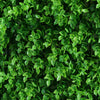 4 Pack Artificial Baby Violet Leaves Foliage UV Protected Green Wall Panels#whtbkgd