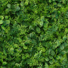4 Panels Artificial Boxwood Hedge Black Locust and Cypress Leaves Foliage Green Garden Wall Mat#whtbkgd