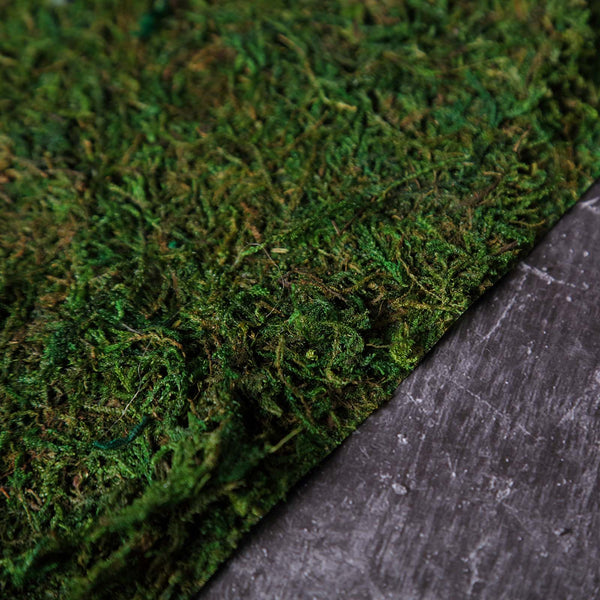 18inch x 16inch Preserved Natural Moss Roll