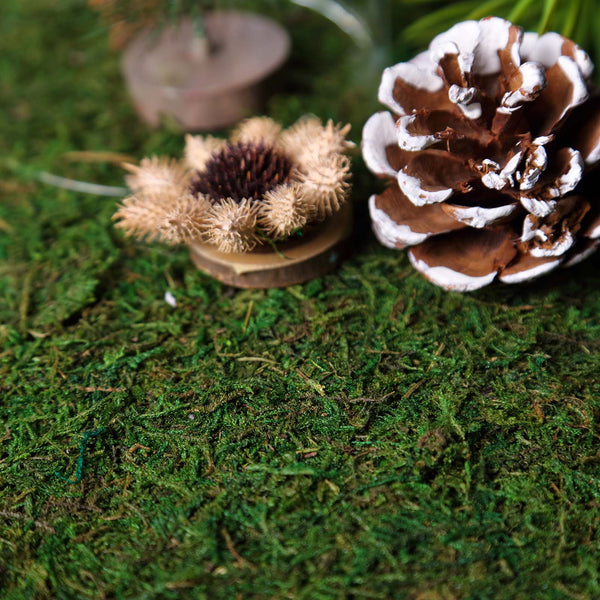 18inch x 16inch Preserved Natural Moss Roll