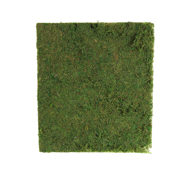 18inch x 16inch Preserved Natural Moss Roll
