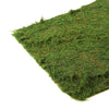 18inch x 16inch Preserved Natural Moss Roll