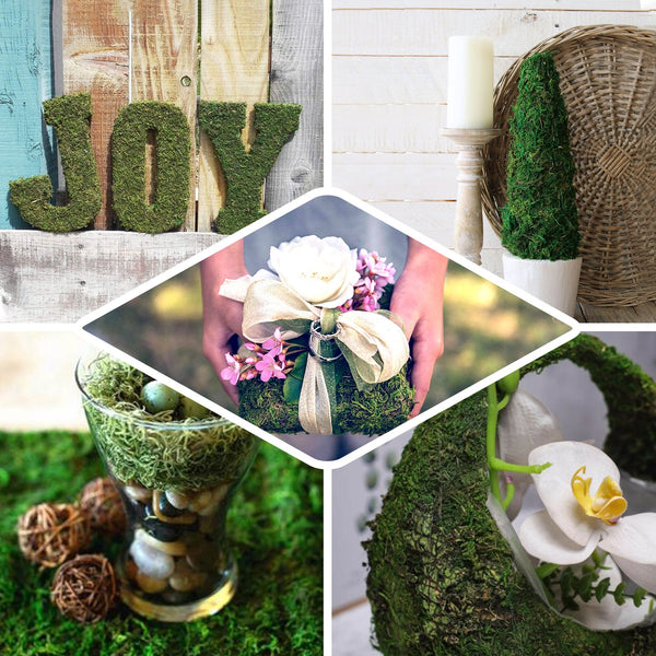 18inch x 16inch Preserved Natural Moss Roll