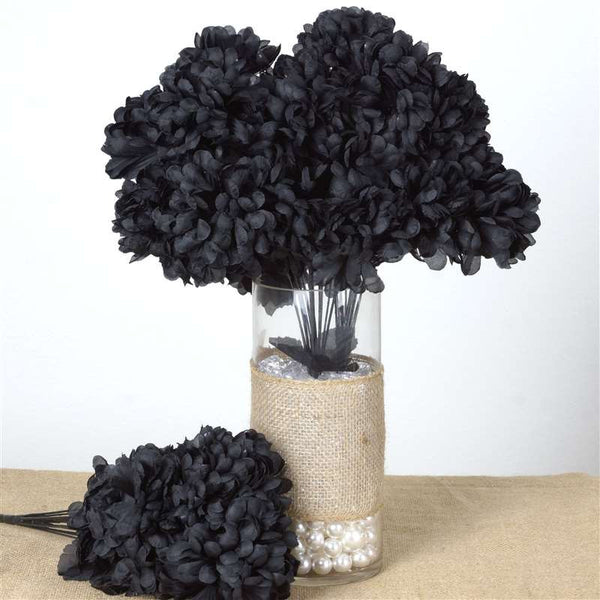 56 Chrysanthemum Mum Balls - Black