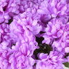 Large Chrysanthemum Bush Artificial Silk Flowers - Lavender