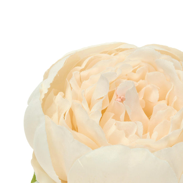 10 Pack | 3 inches Beige Silk Peony Flower Heads, Artificial Peonies For Flower Arrangement