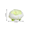 10 Pack | 3inches Cream Silk Peony Flower Heads, Artificial Peonies For Flower Arrangement