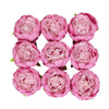 10 Pack | 3inch Silk Peony Flower Heads, Artificial Peonies For Flower Arrangement - Lavender | Pink