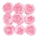 10 Pack | 3inch Silk Peony Flower Heads, Artificial Peonies For Flower Arrangement - Pink