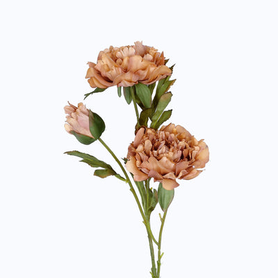 2 Bushes | 29inch Long Stem Peony Flower Spray Dusty Rose Silk Peonies#whtbkgd