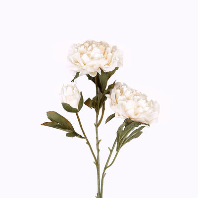 2 Bushes | 29inch Long Stem Peony Flower Spray Ivory Silk Peonies#whtbkgd