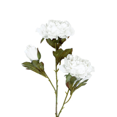 2 Bushes | 29inch Long Stem Peony Flower Spray White Silk Peonies#whtbkgd