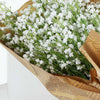 White Babys Breath Artificial Flowers, Gypsophila Real Touch Silk Flowers Stem#whtbkgd