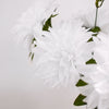 Pack of 2 | 20inch White Dahlia Flower Bushes, Artificial Wedding Bouquets#whtbkgd