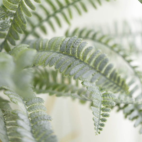 2 Bushes | 18Inch Artificial Boston Fern Leaf Stems, Faux Fern Plants Decor - Frosted Green#whtbkgd