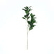 2 Pack | 26inch Artificial Green Lemon Leaf Stem, Faux Greenery Spray