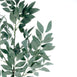 2 Stems | 42inch Honey Locust Leaves Spray, Artificial Greenery - Frosted Dark Green#whtbkgd