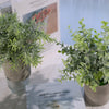 Set of 3 | 9" Mini Potted Artificial Plants, Eucalyptus Rosemary Faux Herbs, Boxwood Greenery in Pots - Frosted Green
