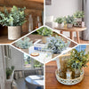 9inch Mini Potted Artificial Plants, Eucalyptus Rosemary Faux Herbs, Boxwood Greenery in Pots