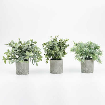 9inch Mini Potted Artificial Plants, Eucalyptus Rosemary Faux Herbs, Boxwood Greenery in Pots#whtbkgd