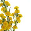 Chrysanthemum Flower, Artificial Mums, Flower Spray  #whtbkgd