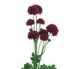 2 Bushes | 33inch Burgundy Chrysanthemum Flower Stem, Artificial Silk Flower Spray