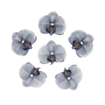 Charcoal Gray Butterfly Orchid Artificial Flower Heads, DIY Craft Silk Flowers