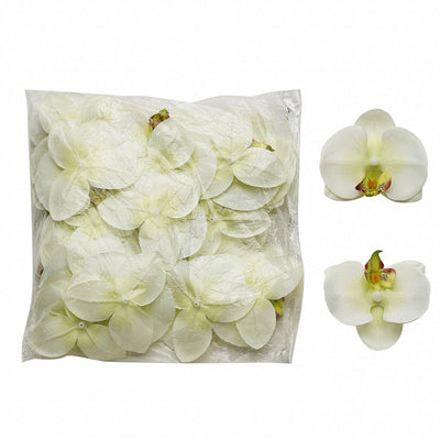 20pcs | 4inch Cream Butterfly Orchid Artificial Flower Heads, DIY Craft Silk Flowers