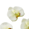 20pcs | 4inch Cream Butterfly Orchid Artificial Flower Heads, DIY Craft Silk Flowers