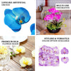 20pcs | 4inch Royal Blue Butterfly Orchid Artificial Flower Heads, DIY Craft Silk Flowers