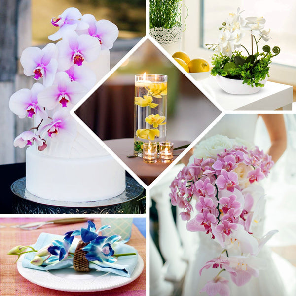 20pcs | 4inch White Butterfly Orchid Artificial Flower Heads, DIY Craft Silk Flowers