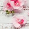 20pcs | 4inch Pink Butterfly Orchid Artificial Flower Heads, DIY Craft Silk Flowers#whtbkgd