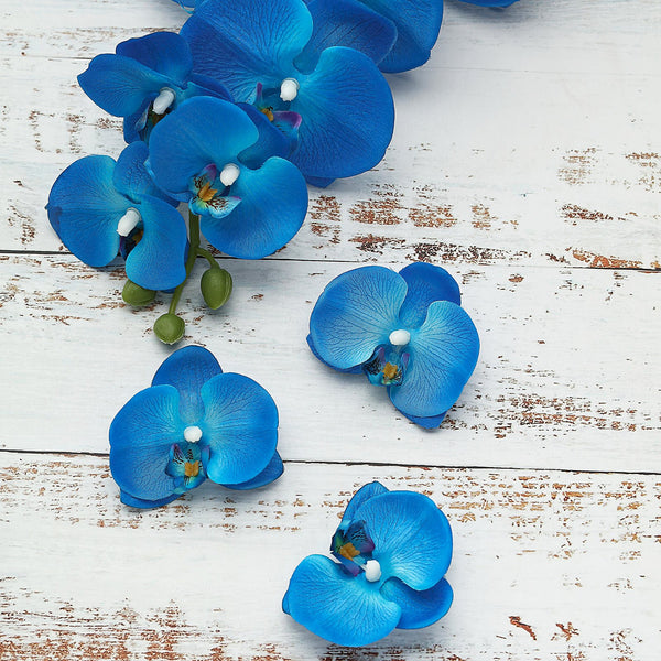 20pcs | 4inch Royal Blue Butterfly Orchid Artificial Flower Heads, DIY Craft Silk Flowers#whtbkgd
