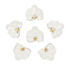 20pcs | 4inch White Butterfly Orchid Artificial Flower Heads, DIY Craft Silk Flowers