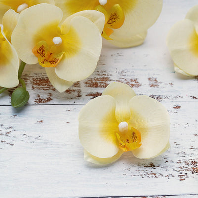Yellow Butterfly Orchid Artificial Flower Heads, DIY Craft Silk Flowers#whtbkgd