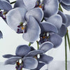 2 Stems - 40inch Charcoal Gray Artificial Long Stem Orchids - Silk Flowers Orchid Bouquet#whtbkgd