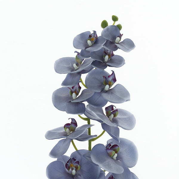 2 Stems - 40inch Charcoal Gray Artificial Long Stem Orchids - Silk Flowers Orchid Bouquet