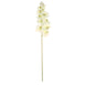 2 Stems - 40inch Cream Artificial Long Stem Orchids - Silk Flowers Orchid Bouquet