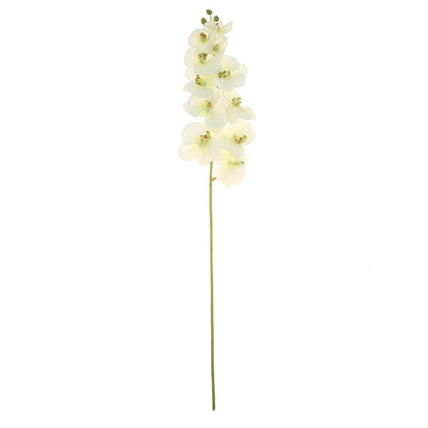 2 Stems - 40inch Cream Artificial Long Stem Orchids - Silk Flowers Orchid Bouquet