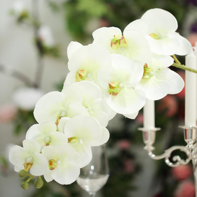 2 Stems - 40inch Cream Artificial Long Stem Orchids - Silk Flowers Orchid Bouquet