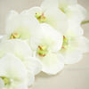2 Stems - 40inch Cream Artificial Long Stem Orchids - Silk Flowers Orchid Bouquet#whtbkgd