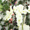 2 Stems - 40inch Cream Artificial Long Stem Orchids - Silk Flowers Orchid Bouquet