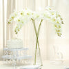 2 Stems - 40inch Cream Artificial Long Stem Orchids - Silk Flowers Orchid Bouquet