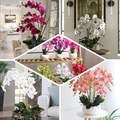 2 Stems - 40inch White/Purple Artificial Long Stem Orchids - Silk Flowers Orchid Bouquet