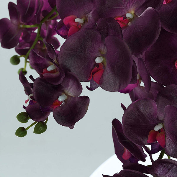2 Stems - 40inch Eggplant Artificial Long Stem Orchids - Silk Flowers Orchid Bouquet#whtbkgd