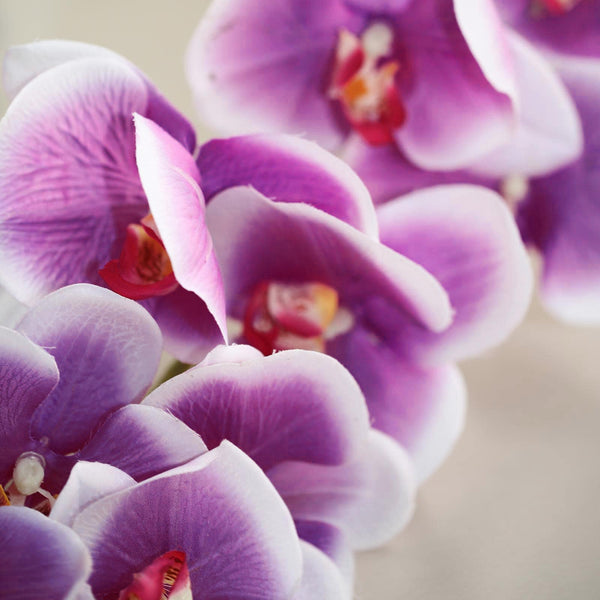 2 Stems - 40inch White/Purple Artificial Long Stem Orchids - Silk Flowers Orchid Bouquet#whtbkgd