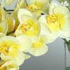 2 Stems - 40inch White/Yellow Artificial Long Stem Orchids - Silk Flowers Orchid Bouquet#whtbkgd